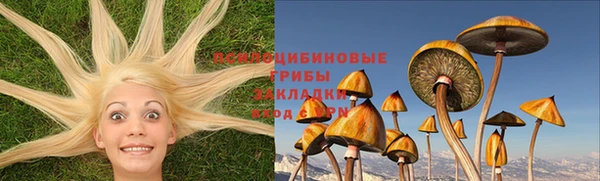 твердый Богородицк
