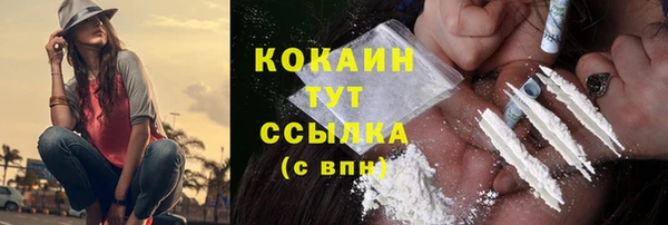 твердый Богородицк