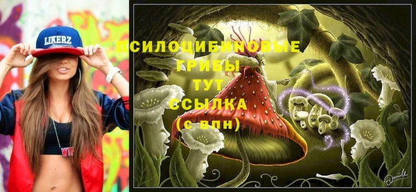 метадон Богданович