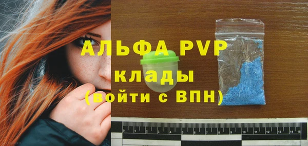 метадон Богданович