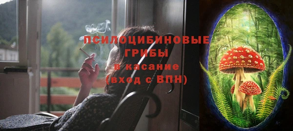 mdpv Бугульма